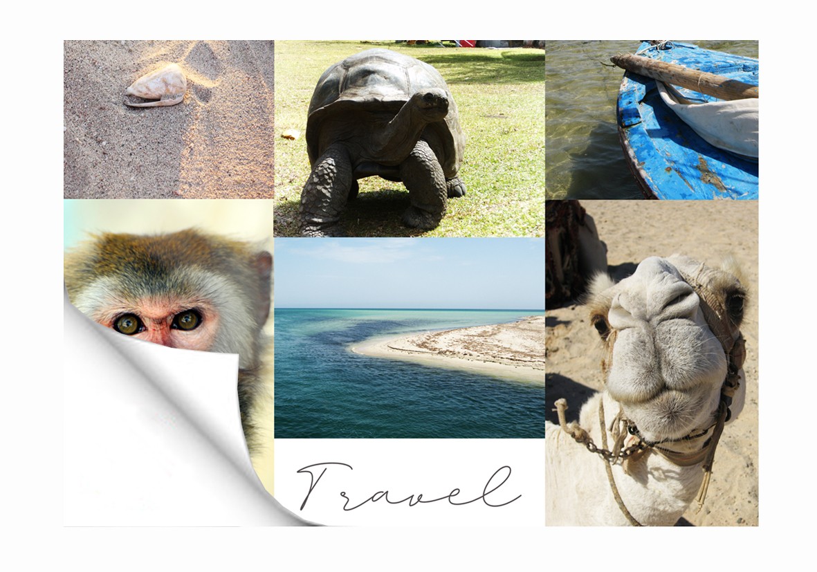 6 foto collage