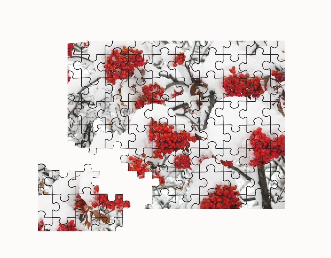 puzzle neve