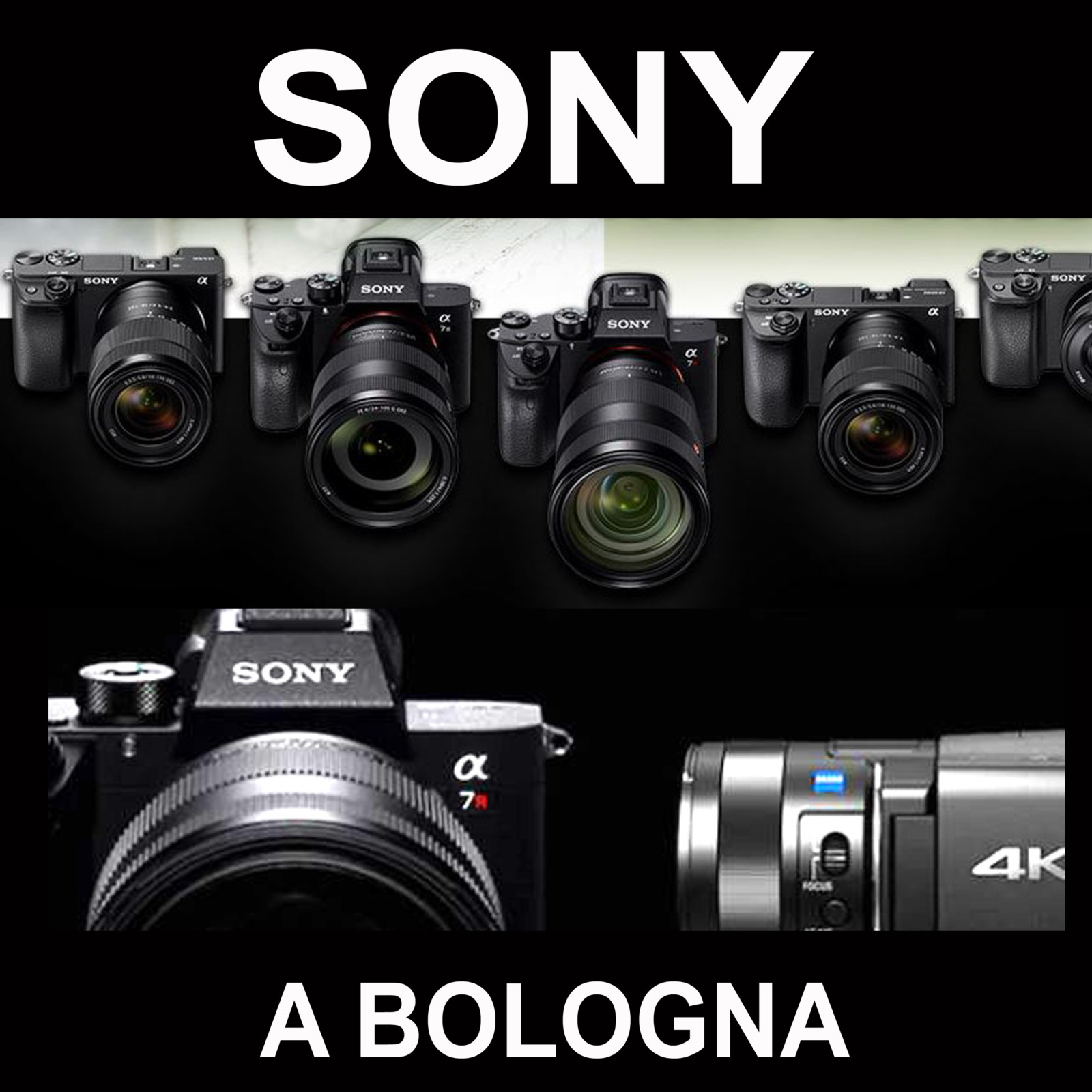 SONY FOTOCAMERE DIGITALI CON SENSORE FULL FRAME O CON SENSORE APS-C E OBIETTIVI A BOLOGNA